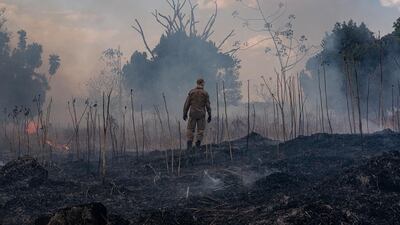A firefighter combating a fire in the Amazon basin in the municipality Sorriso, Mato Grosso State, Brazil. AFP