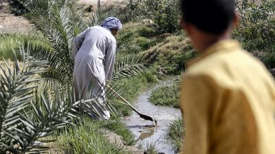 A boy watches as an Iraqi farmer digs in a stream of water in the village of Sayyed Dakhil, 300 kilometres south of Baghdad. Haidar Mohammed Ali / AFP