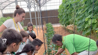 Food has been grown by pupils in a huge greenhouse on the school grounds. Courtesy: The Arbor School