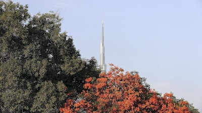 Burj Khalifa from Safa Park in Dubai. Areas such as parks are typically slightly cooler than adjacent districts. Pawan Singh / The National
