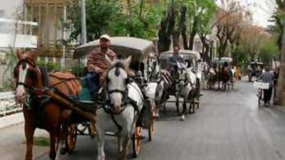 Many visitors to the Princes' Islands rent faetons, two-horse carriages that are useful in navigating the islands' hilly geography.