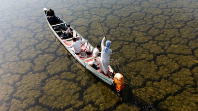 A fisherman manoeuvres his boat through Iraq's Hawizeh Marsh. AFP