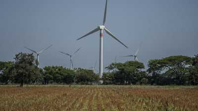 Wind turbines near a sorghum farm in La Ventosa, Oaxaca state, Mexico. Green bond issuance is expected to be about $450bn this year, according to Moody's. Alejandro Cegarra / Bloomberg
