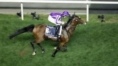 St Nicholas Abbey, who won the Dubai Sheema Classic in March, suffered a career-ending injury Tuesday in Ireland. Sammy Dallal / The National