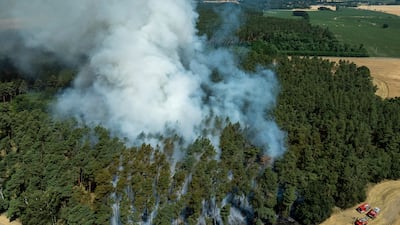 A wildfire at the edge of a grain field near Brandenburg in Germany. AP
