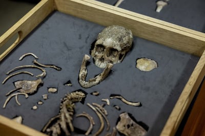Lucy is estimated to be about 3.2 million years old. AFP