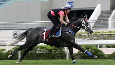 Chautauqua shown at morning track work on Tuesday ahead of the Group 1 Chairman's Sprint at Sha Tin on Sunday. Healy Racing / Racingfotos.com / April 26, 2016