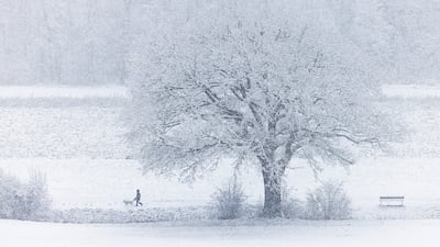 A dog walker ventures out after this winter's first snowfall in Zurich, Switzerland. EPA