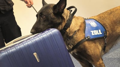 Three of the 10 dogs sent to Egypt under the programme died. AFP