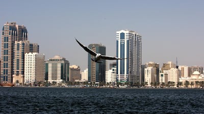 Sharjah is thriving culturally. Pawan Singh / The National