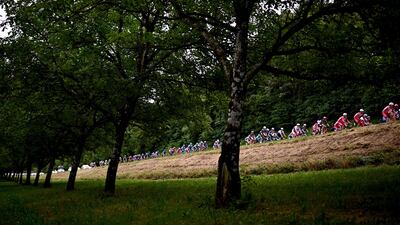 The peloton during stage 10.