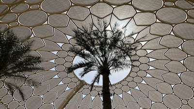 The 7MP front camera takes great portrait shots but lacks a wider angle similar to those found in higher-end iPhones.