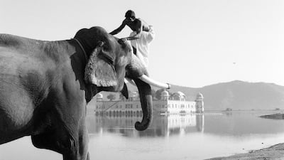 Elephant at Sea is the finest story in Kanishk Tharoor’s debut – the tale of an elephant’s journey from India to a Moroccan palace, sprinkled with drama and humour. Fernando Bengoechea / Beateworks / Corbis