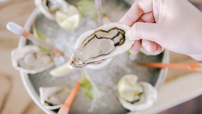 Find fresh Dibba oysters at Gonu. Photo: Gonu