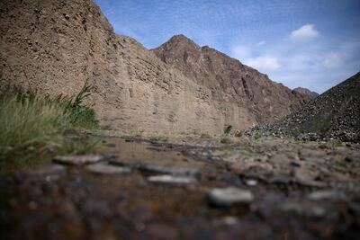 Wadi Wurayah is the UAE's first national park. Silvia Razgova / The National