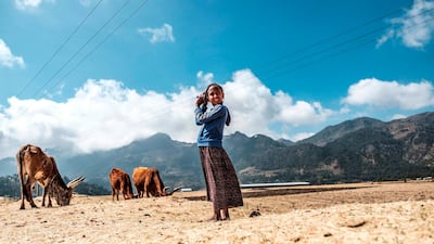 A young shepherd stands next to oxen in the town of Korem, north of Alamata, Ethiopia. AFP
