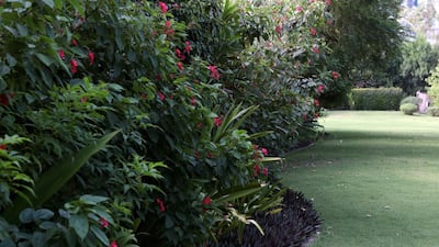 General view of the grounds at the British Embassy. Christopher Pike / The National