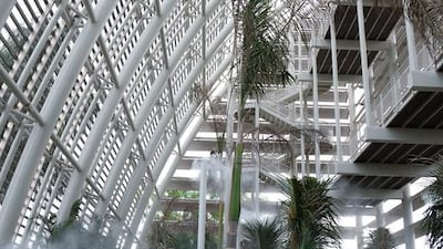 The park’s 28-metre tall shade house is an open air structure that shelters tender tropical plants and palms. Delores Johnson / The National