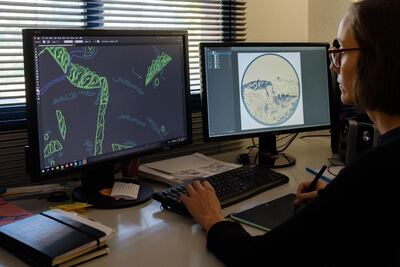 The digital part of the process to build 'The Al Idrisi Silver'