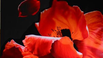 A handout photo of Carlo Ferrari's Composizione in Rosso by for "Elegance in Nature" (Courtesy: Swiss Art Gate UAE)