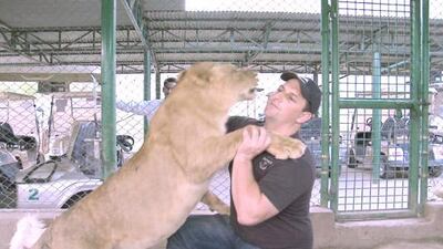 Dubai Municipality’s wildlife and zoo expert Dr Reza Khan has had reservations about Mr Punton’s plans, and has also questioned whether it was possible to successfully release animals.