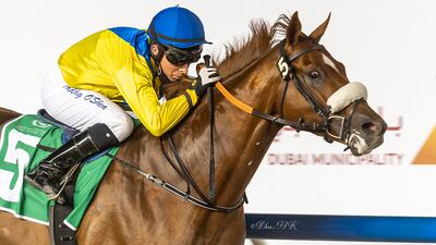 Tadhg O’Shea steers Kafoo to victory at Meydan on Thursday, November 18, 2021. ERA