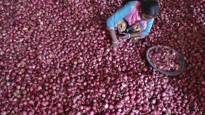 A labourer spreads onions for sorting at a wholesale vegetable market in the northern Indian city of Chandigarh. Heavy rains have damaged onion crops and delayed harvesting, putting further upwards pressure on prices. Ajay Verma / Reuters