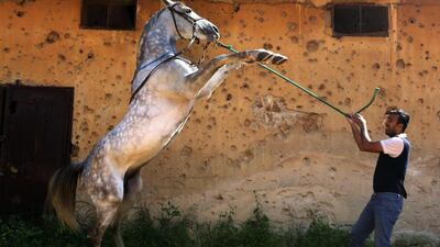 Beirut's Hippodrome has survived wars and relentless upheaval but the iconic racetrack, where rival fighters once gathered to bet on their days off, approaches its centenary facing an uncertain future. AFP
