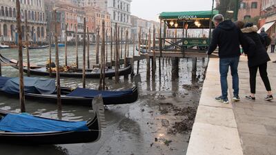 They are a popular tourist attraction