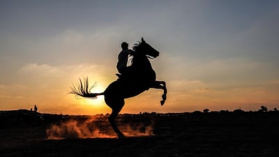 A Palestinian rides a horse during a race at sunset in eastern Rafah, southern Gaza Strip. EPA