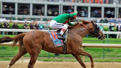 Animal Kingdom in action.