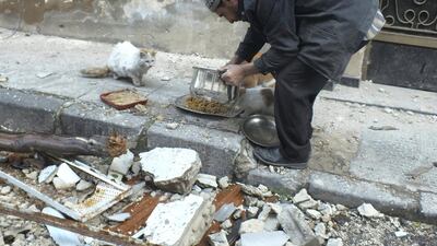 A man, completely unconnected to the book, gives food to cats in the al-Khalidiya neighbourhood of Homs. Reuters / Yazan Homsy