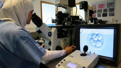 Rand Al Sharairi, a clinical embryologist, at work in Dubai Gynaecology and Fertility Centre. Many couples seeking IVF treatment want twins or triplets from one cycle, but there are risks attached. Jeffrey E Biteng / The National