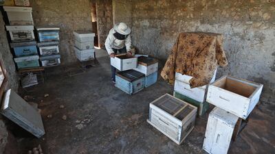 A Syrian beekeeper sorts honey. AFP