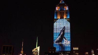 Large images of endangered species are projected on the south facade of The Empire State Building. Craig Ruttle / AP photo