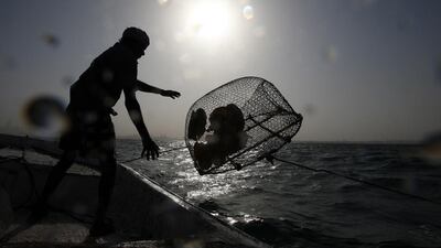 A local fisherman throws a fishing net into the sea in Dubai. Pawan Singh / The National