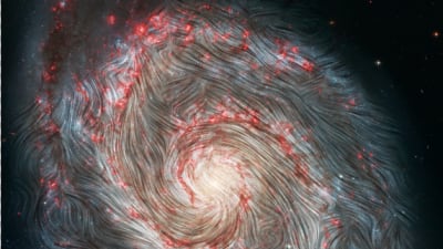 The Whirlpool Galaxy is 31 million light years away. Taken by Nasa’s Stratospheric Observatory for Infrared Astronomy, the image shows the galaxy's “arms”, which are actually swirling clouds of gas and dust where massive new stars are born. Photo: Nasa