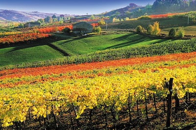 The hills of Bologna. Courtesy Welcome Bologna