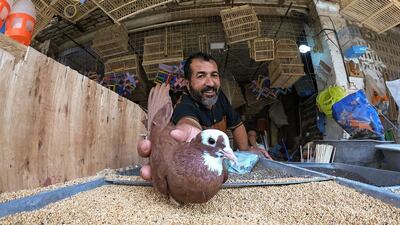 An Iraqi shopkeeper displays one of his pigeons at a bird market in the southern city of Nasiriyah. AFP