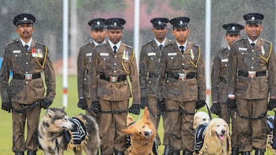 Canines on paw patrol as part of Sri Lanka Police Day celebrations in Colombo. AFP