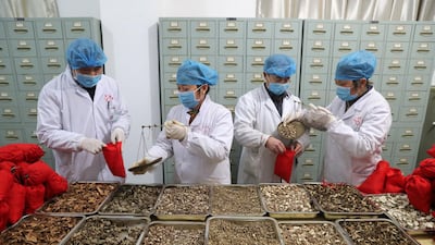 Medical workers of a traditional Chinese medicine (TCM) hospital prepare TCM sachets as the country is hit by an outbreak of the novel coronavirus, in Fuzhou, Jiangxi province, China. REUTERS