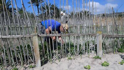 When rainwater from the hills reaches the sandy area around Ghar El Melh’s lagoons, instead of mixing immediately with the brine below, it forms a thin layer of fresh groundwater. AFP