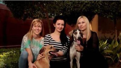 Members of the Arabian Saluki Centre of Dubai, from left, Trine Lund Petersen, Tillyard Jones and Yelena Swain with two of the three saluki/greyhound crossbreeds that will be flown to the US tomorrow. Jeffrey E Biteng / The National
