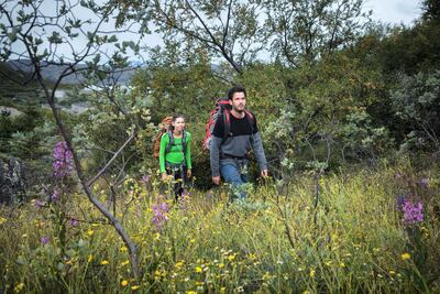 Greenland's only natural forest is located in the Qinnqua Valley. Courtesy VisitGreenland / Mads Phil