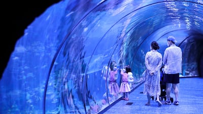 The National Aquarium in Al Qana, Abu Dhabi, is home to 46,000 creatures and 300 species. Khushnum Bhandari / The National