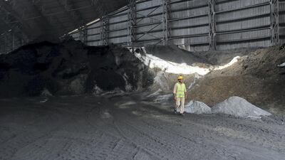 Camel manure is being used as a key natural resource at Gulf Cement Company. All pictures by Pawan Singh/The National