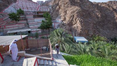 There are also livestock grazing on the mountain.