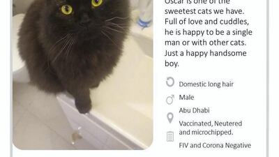 Courtesy Rescue of Abu Dhabi