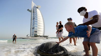 All had rehabilitated in the safety of the Turtle Lagoon at Jumeirah Al Naseem, before being released off the beach near the hotel