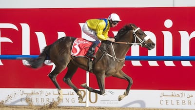Mubtaahij, trained by Mike de Kock, is a contender for the Dubai World Cup and will be racing at Meydan's Super Saturday. Andrew Watkins / Dubai Racing Club